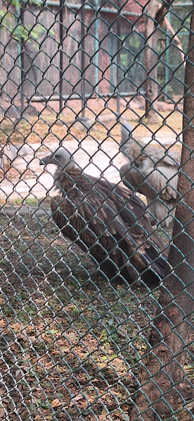 Moodler Man tweet media