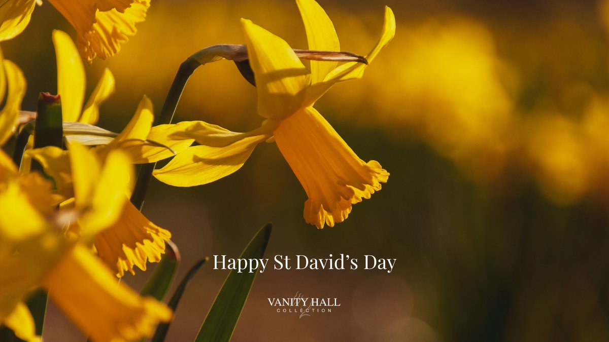 Vanity Hall tweet media