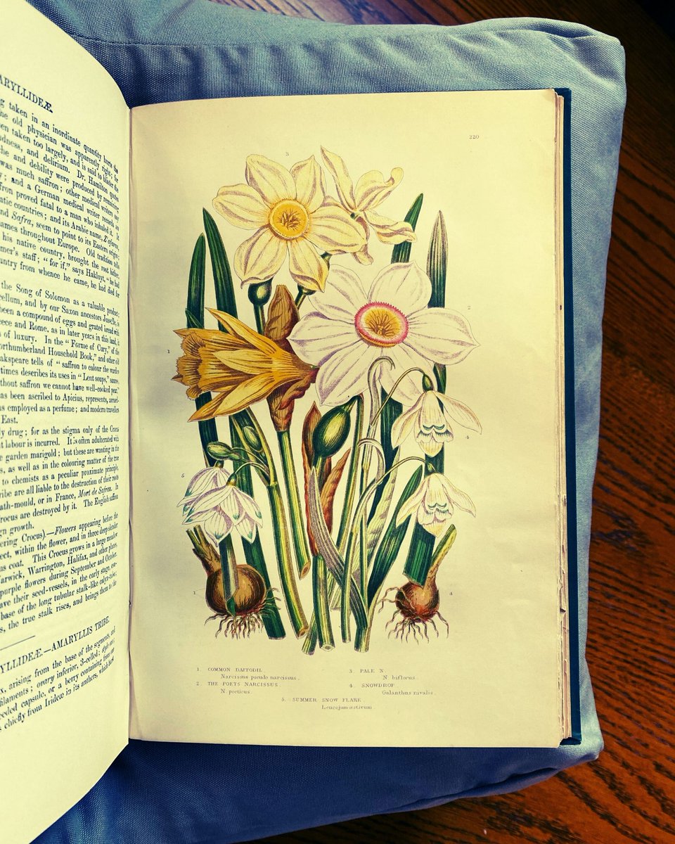 Gladstone's Library tweet media