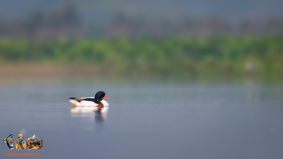 gkash77's tweet image. More for #minimalist