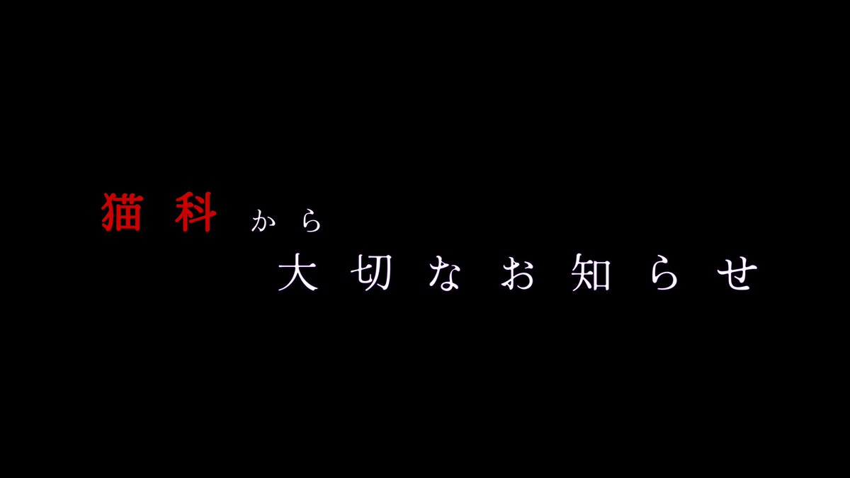 nekokaninaru6's tweet photo. 【大切なお知らせ】
2026年は早くも3月を迎え、桜散る卒業シーズンとなりました。

急なお知らせとなってしまいましたが、この度猫科は、暫くの間グループ全体としての活動を一時休止させていただきます。

詳細はALTをご確認ください。

活動再開は夏頃を予定しています。 https://t.co/SRp3VJgdcO