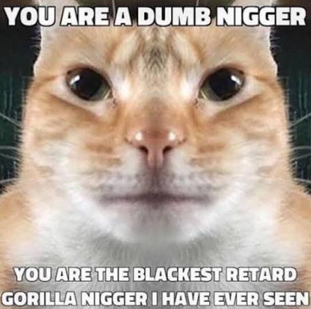 Renaistre tweet media