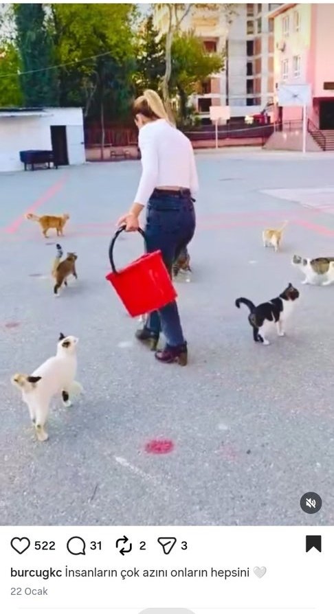 İzmir’de, bir okulda Müdür Yardımcısı olarak görev yapan Burcu Öğretmen, 

Okulun bahçesinde, 20 kedi, 4 köpek, 5 papağan ve 3 keçi besleyerek okulu ahıra çevirdi.