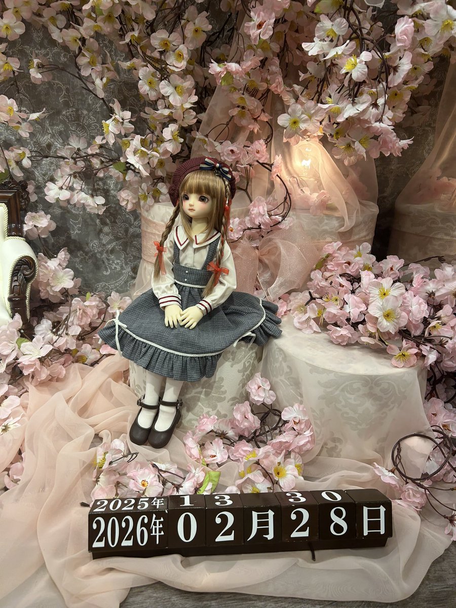 kaguya_doll's tweet photo. 昨日天使の窓で結糸ちゃん以来の運命を感じてお迎えしました。

SDM66番ちゃんの夢愛‐むあ‐

#SDM66 https://t.co/4XP3dFOmOh