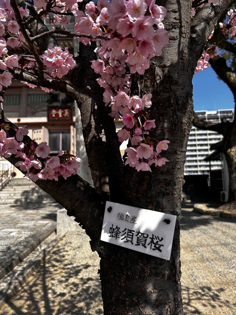 ほんま、お金のないまりさん 想像できないです🤭 毎週、お2人の