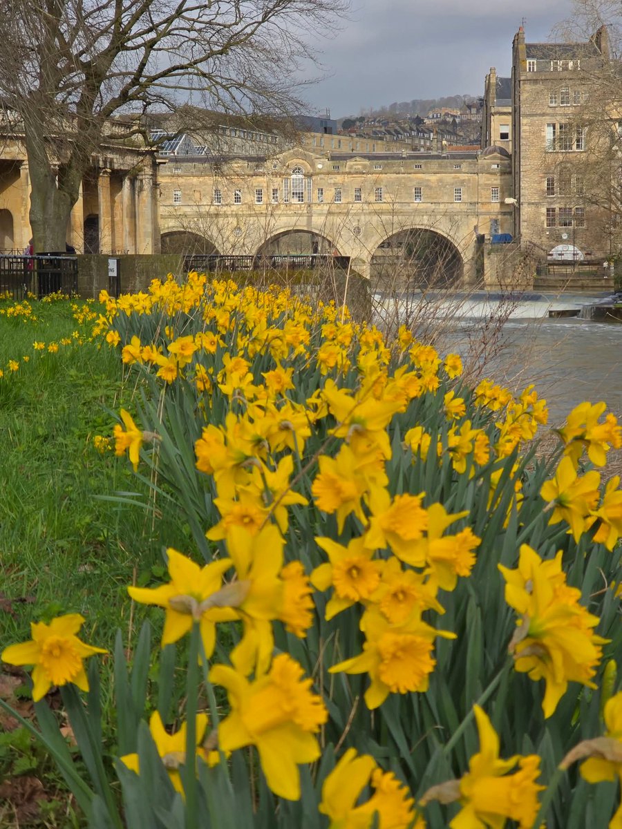 Quintessential tweet media