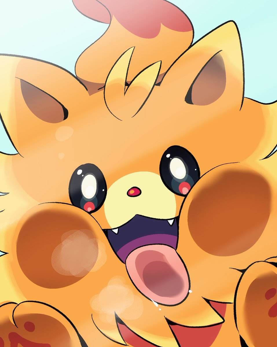 🍤 (@shrimp_pkm) on Twitter photo 