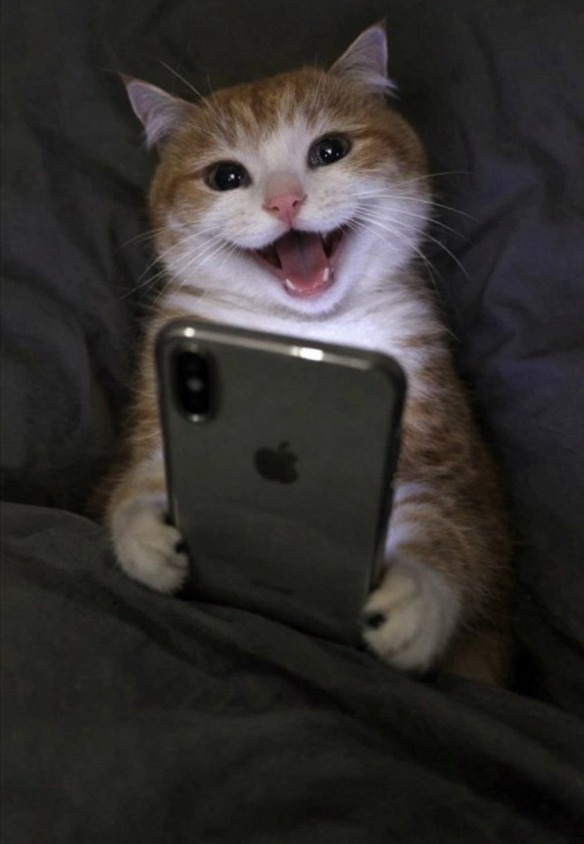 Narestein 🇮🇷 tweet media