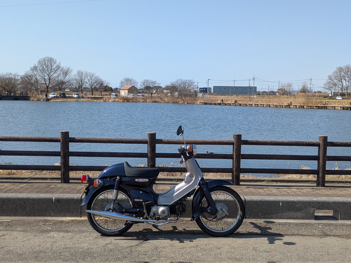 チビカブ (@AA01superCub) / Posts / X