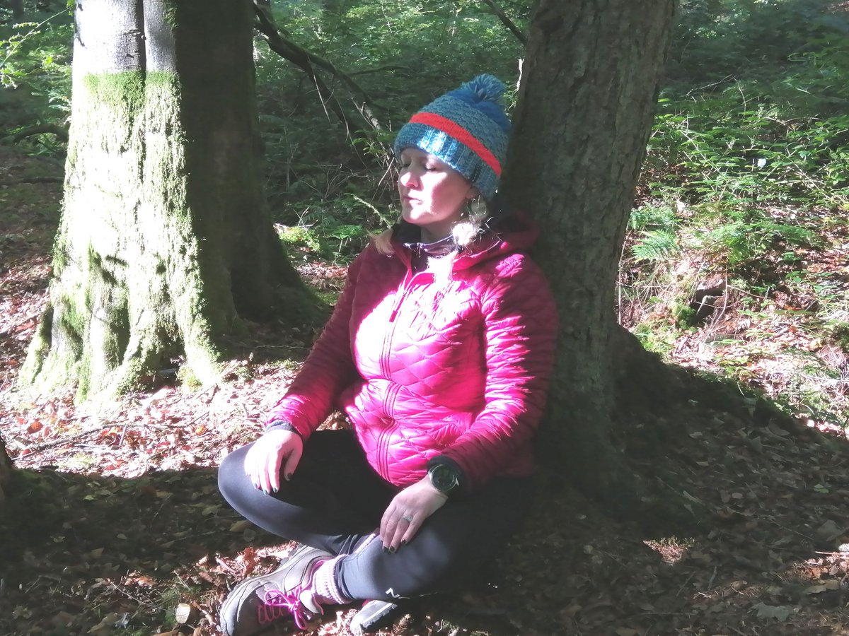 Ann Ward tweet media