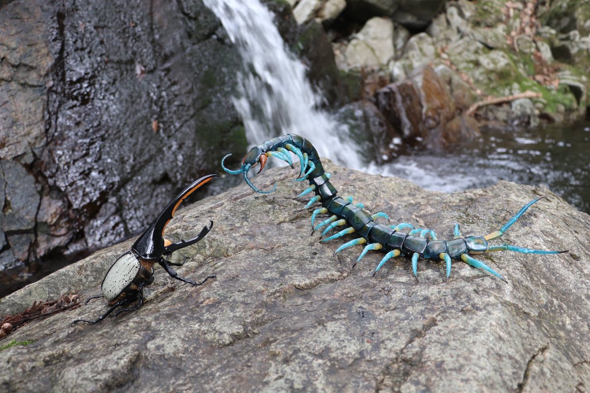 ヘラクレス・リッキー（ヘルクレスリッキーブルー）VS リュウジン