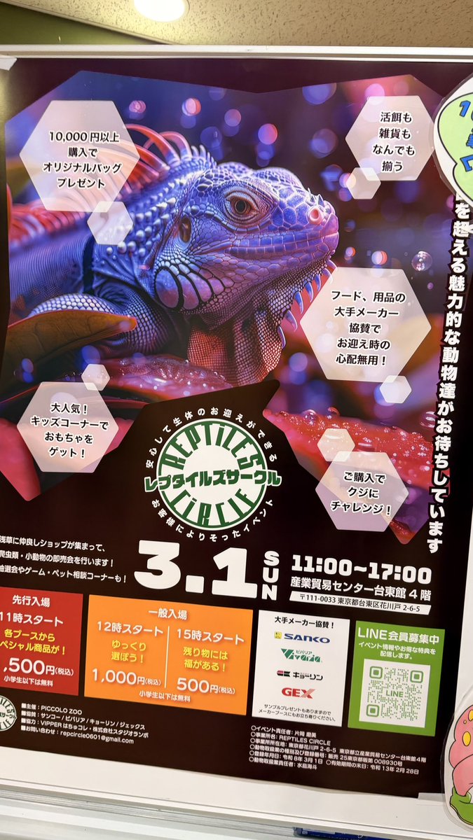 アーキラ🐹🐭🐴 tweet media