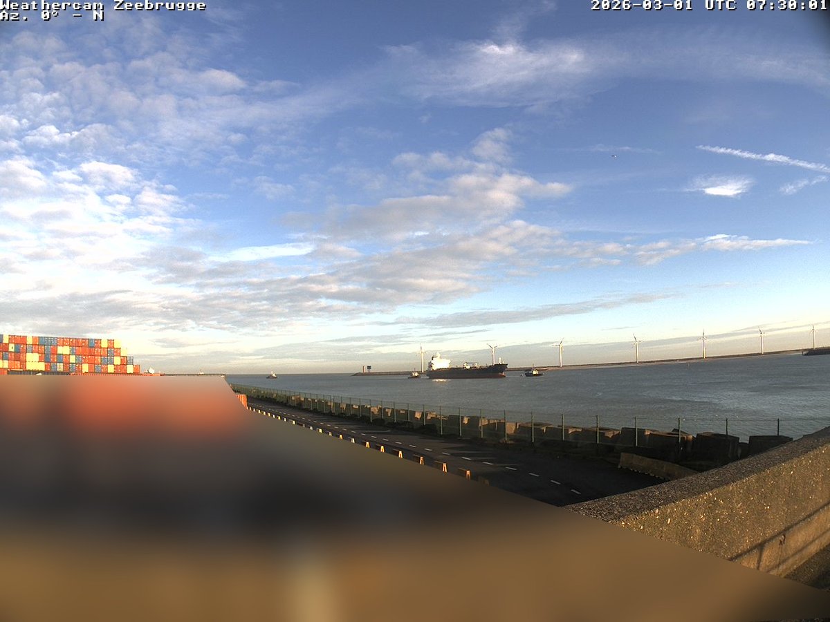 Maarten Reyniers tweet media