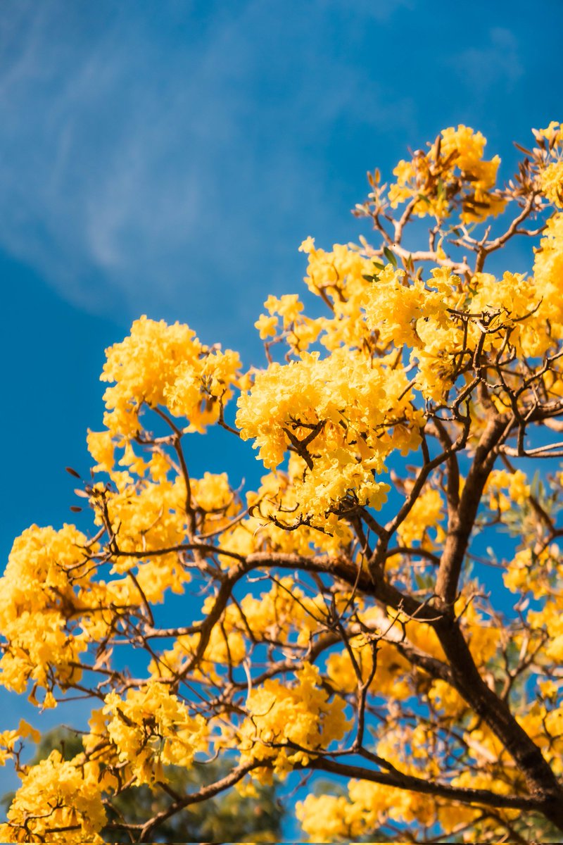 BONGBANK tweet media