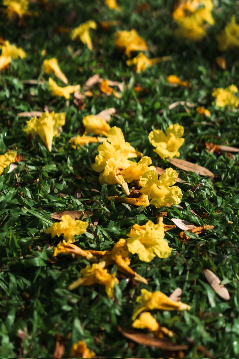 BONGBANK tweet media