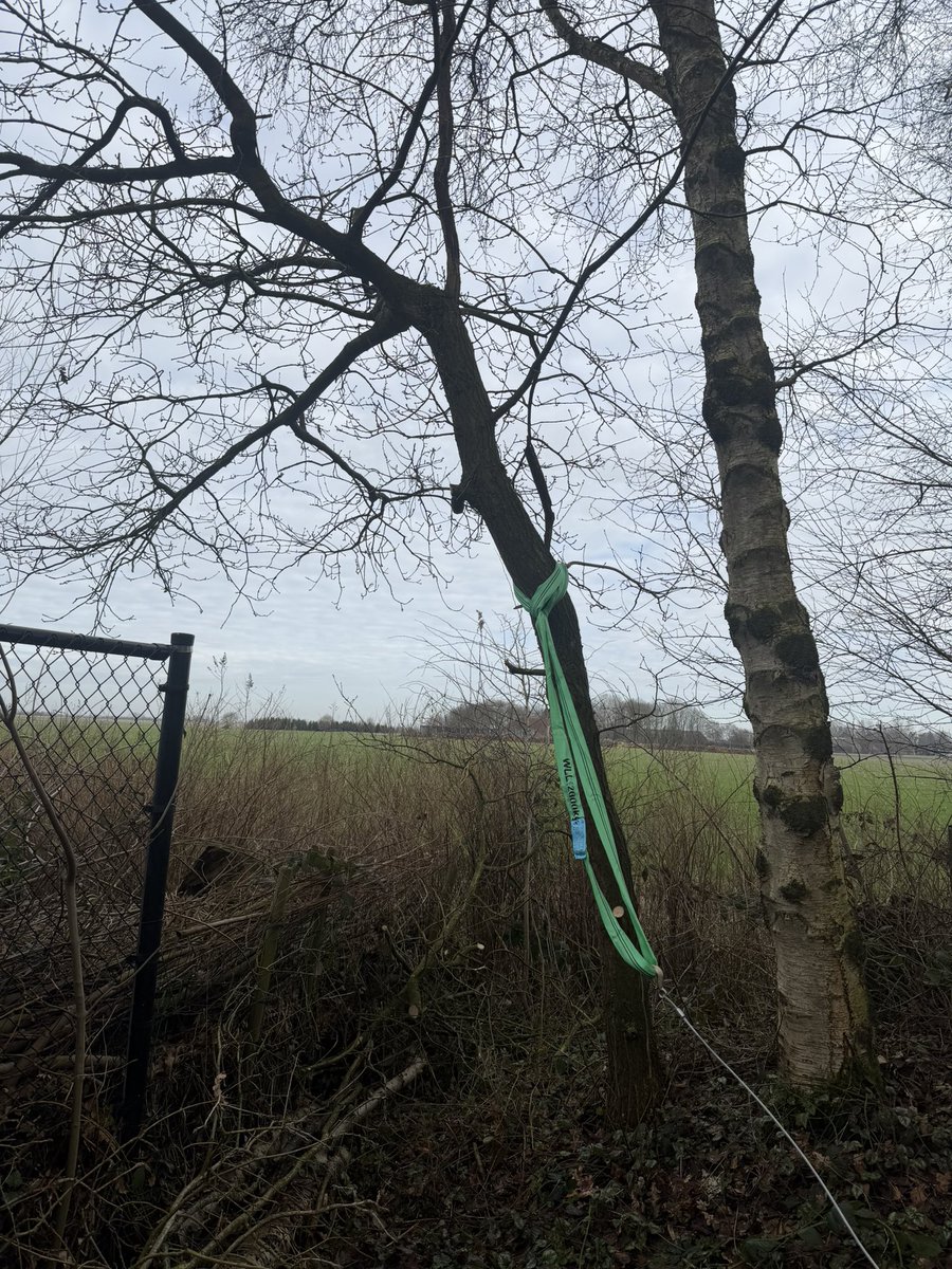 babilpaco's tweet photo. Buurvrouw praat nooit met me maar meldde dat er een boom overhing op haar perceel, prima halen we weg. Net bezig komt ze eraan met “zondagsrust” ze kan het vd week zelf wel even doen en dan wil ze het hout houden.. raad eens wie de houtvoorraad heeft aangevuld🤣🤣 https://t.co/RHldhchhxK