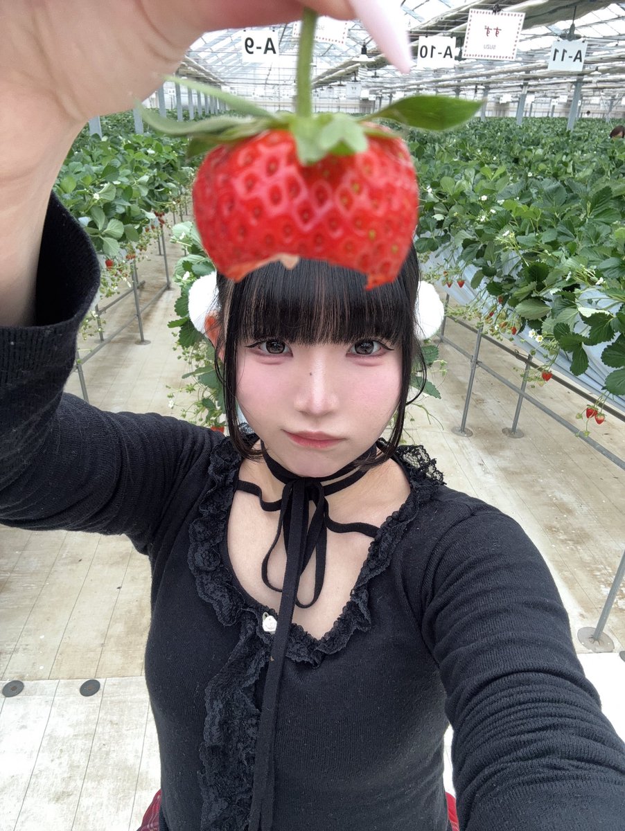 Post by v on X: いちごちゃん🍓