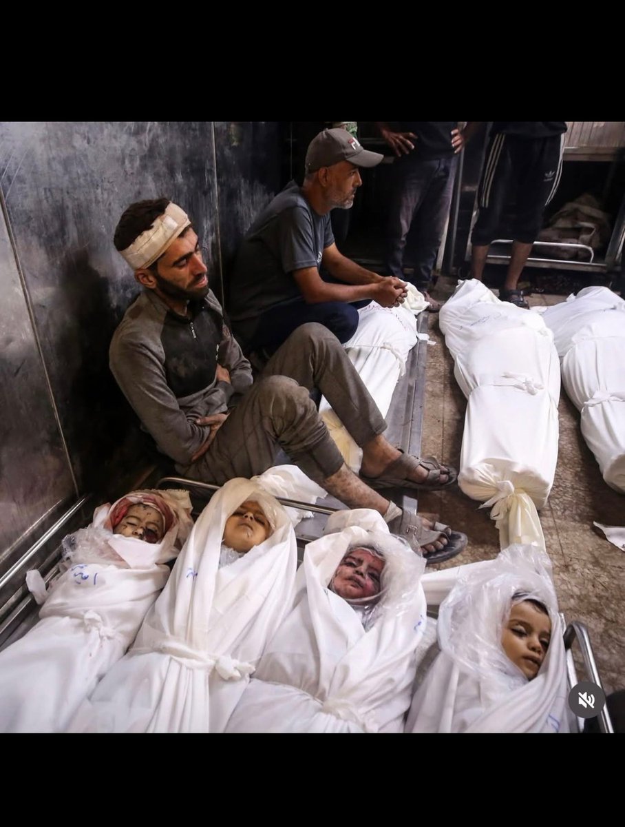 jose luis guillo cam tweet media