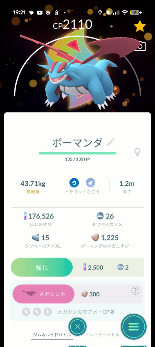 セルジ tweet media