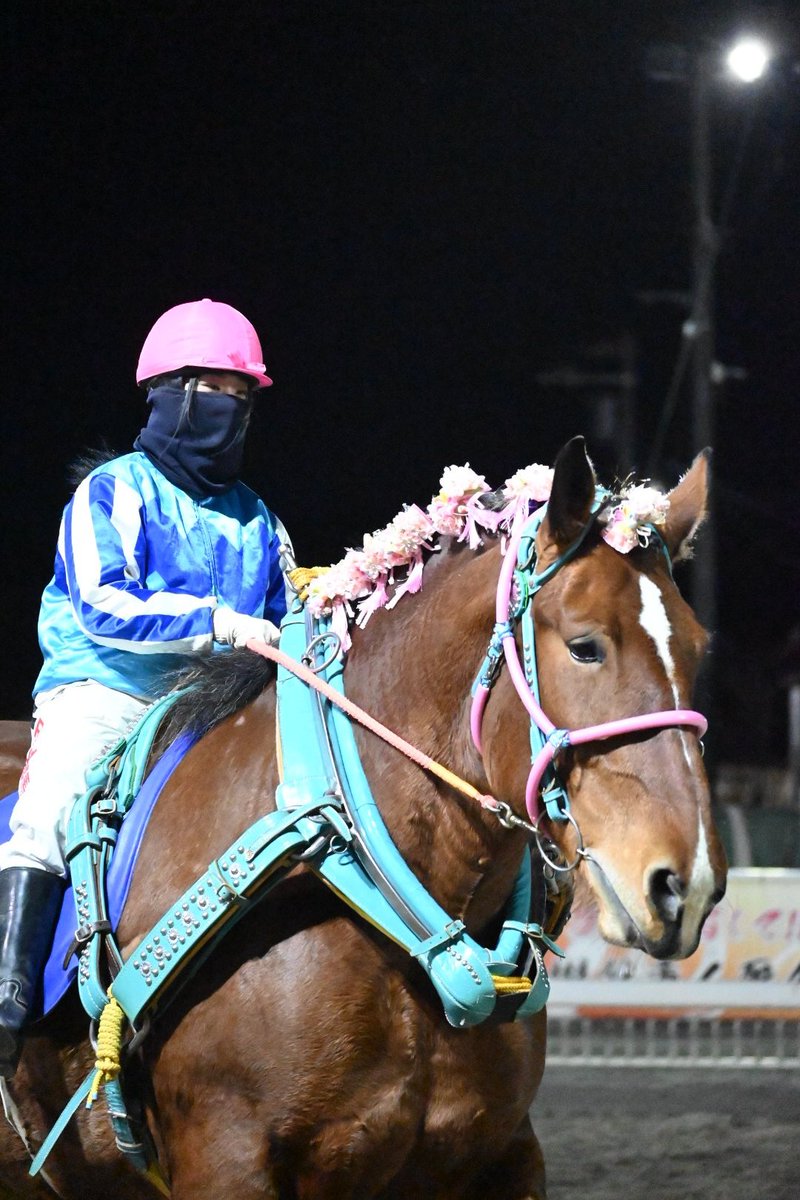 最後まで無事に #ばんえい競馬 #スピードスター賞 #サクラヒメ