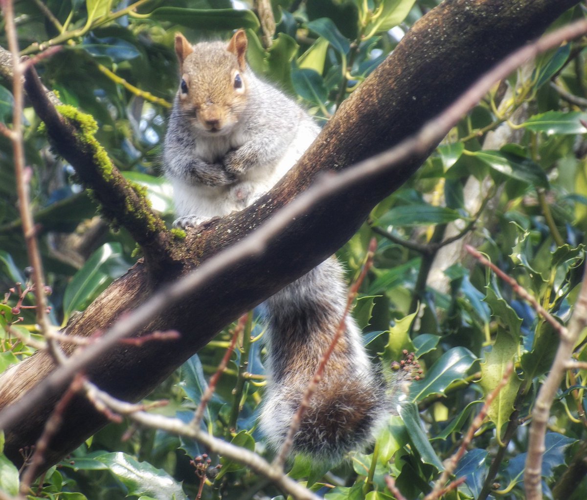 J.M. Summers tweet media