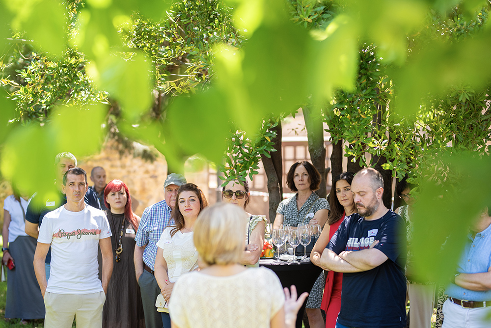 DOP Campo de Borja tweet media