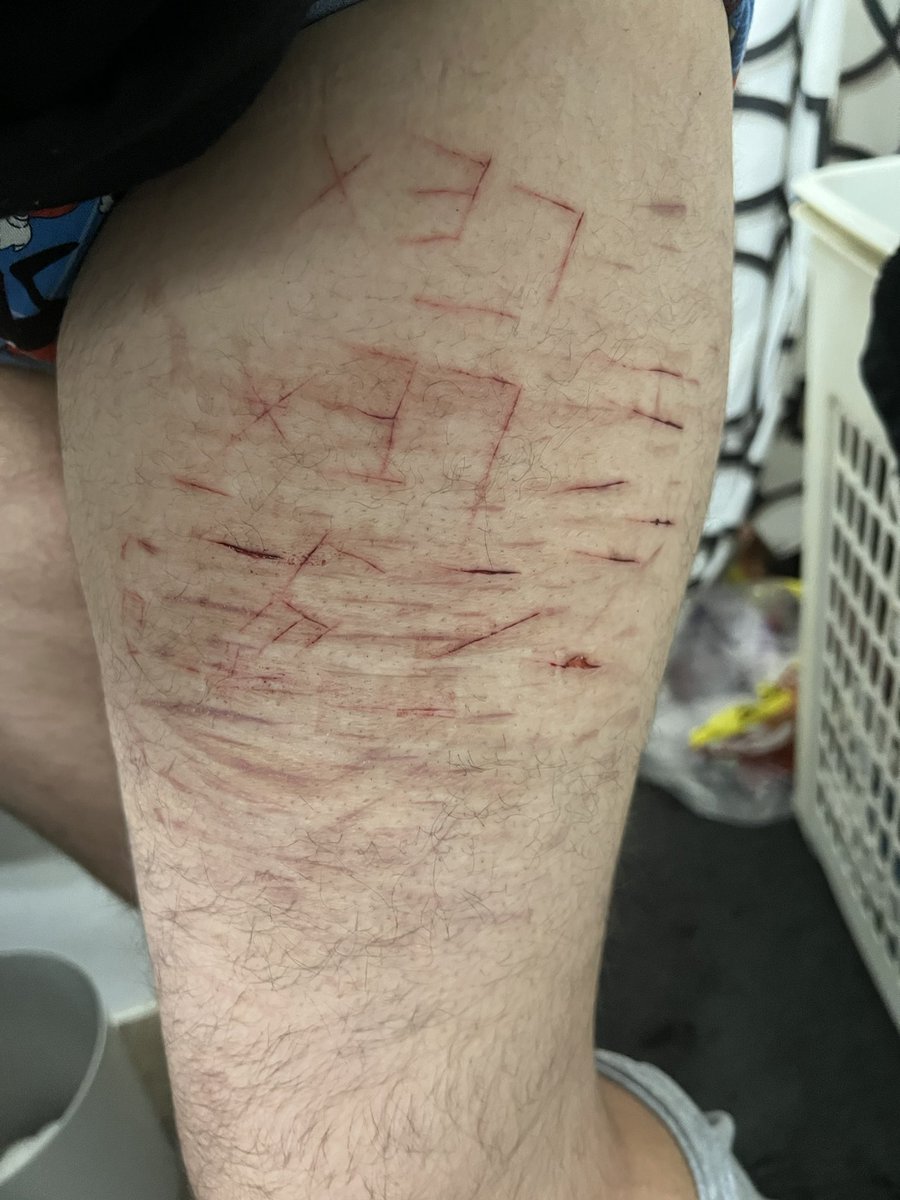 ♱ 𝑩𝑰𝑳𝑳 𝑪𝑰𝑷𝑯𝑬𝑹 𝑶𝑭 𝑺𝑯𝑬𝑫𝑻𝑾𝑻 ♱ tweet media