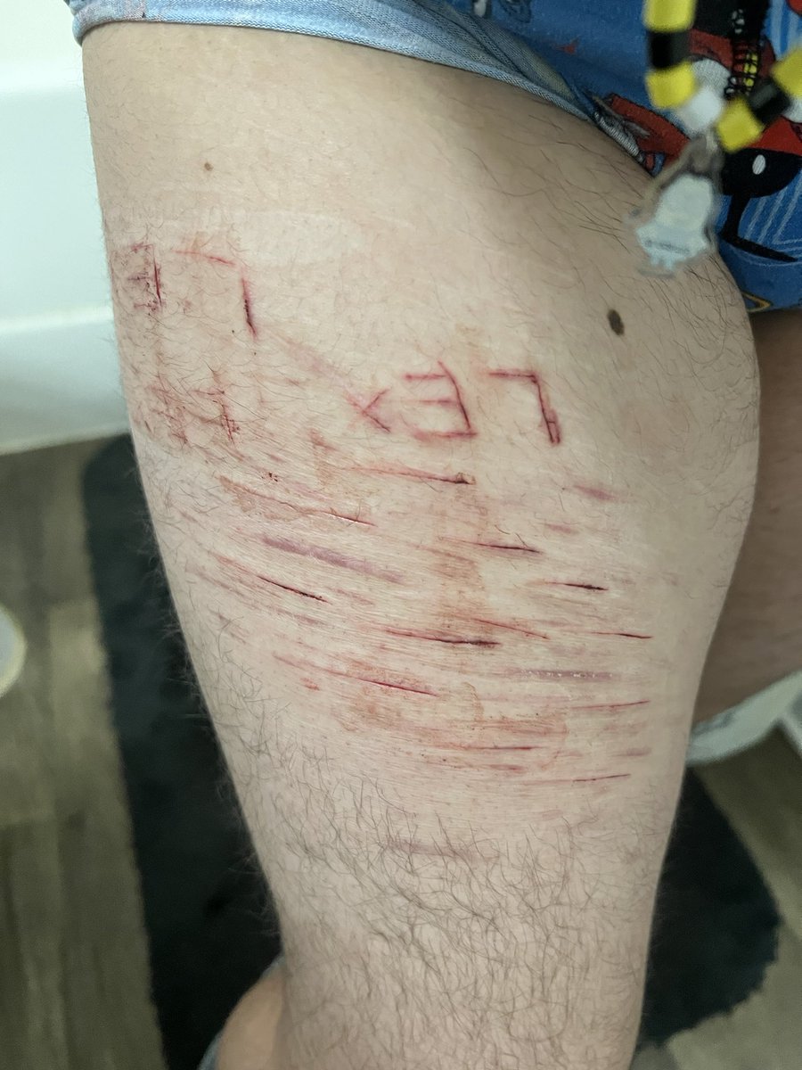 ♱ 𝑩𝑰𝑳𝑳 𝑪𝑰𝑷𝑯𝑬𝑹 𝑶𝑭 𝑺𝑯𝑬𝑫𝑻𝑾𝑻 ♱ tweet media