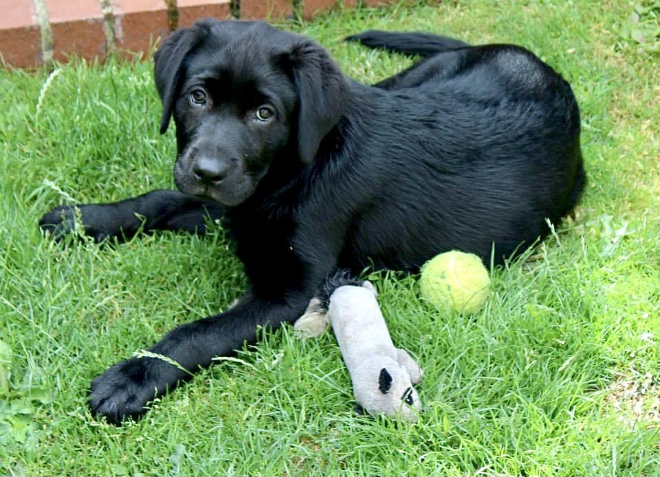 Carmel Wake tweet media