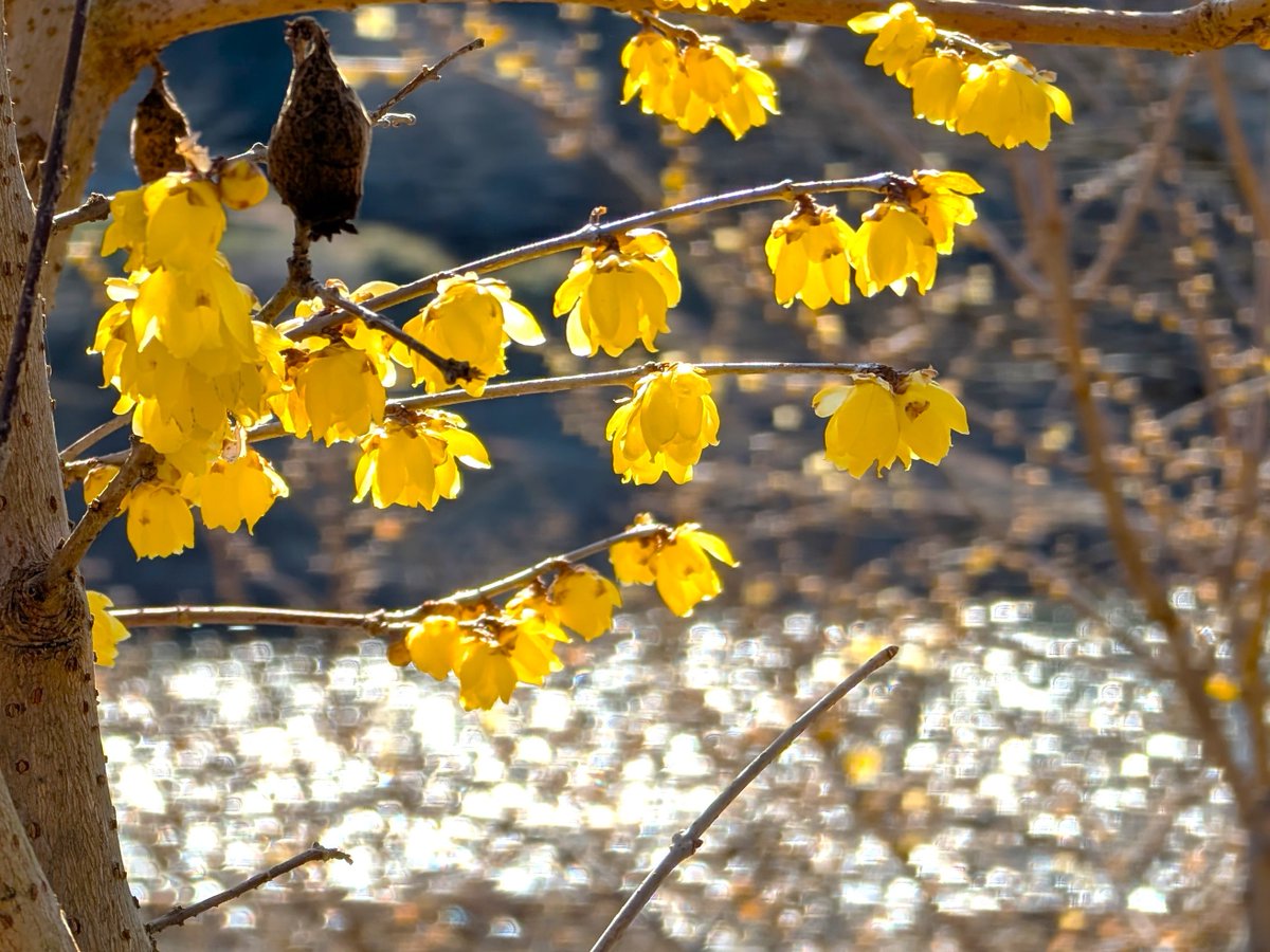 ﾄﾞﾗｲﾌﾞ400 tweet media