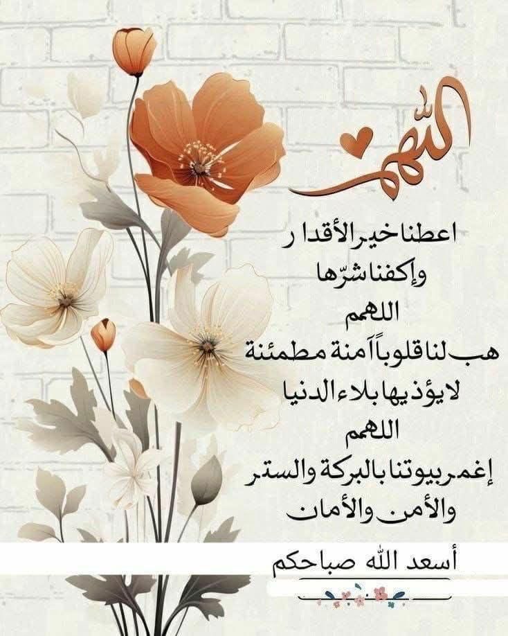 عَ ـًلَآء آلَخٌ ـوُآجَهೄ࿐ tweet media