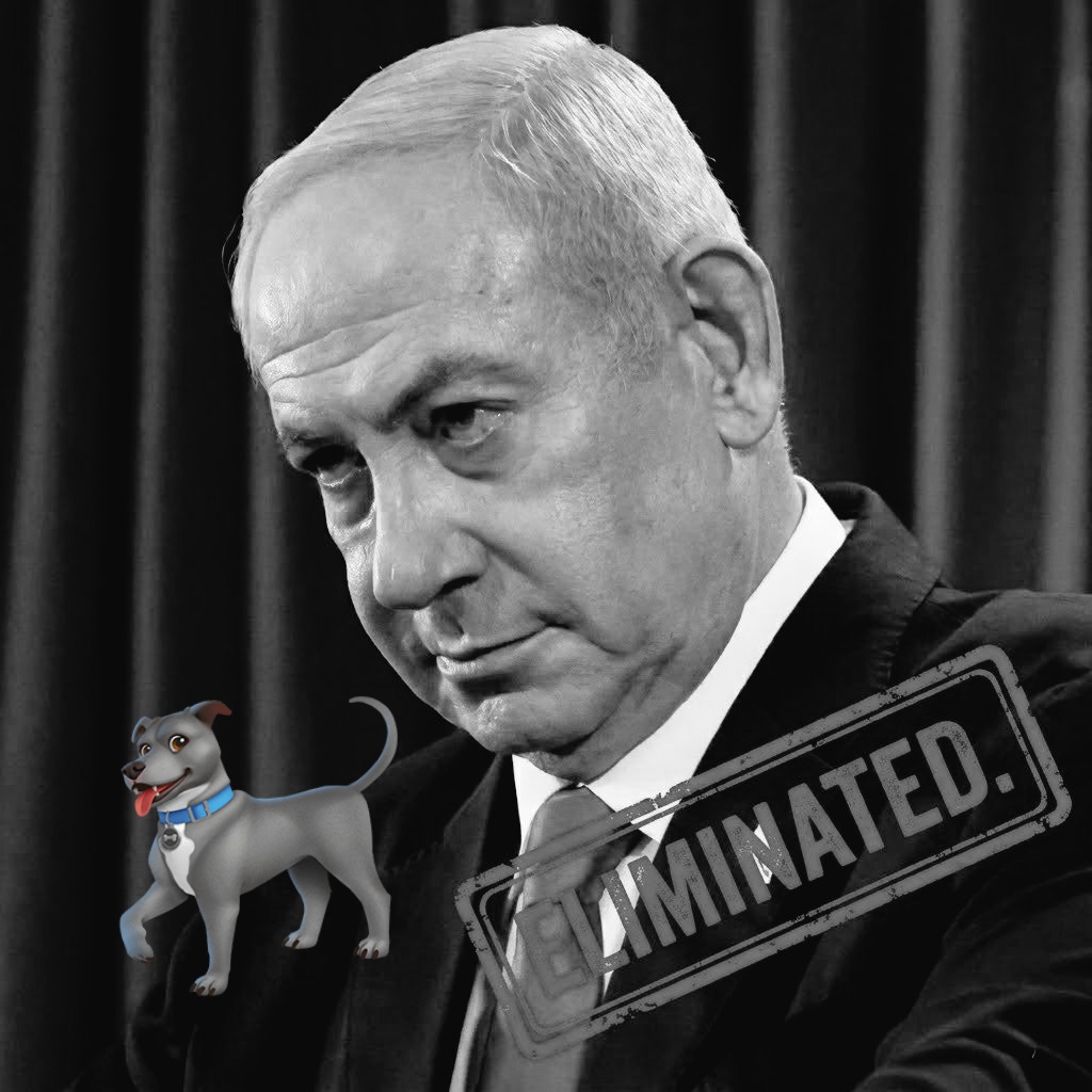 This dog is a ****, a shameless pig, the most shameless person in the world, the heart of a dog.