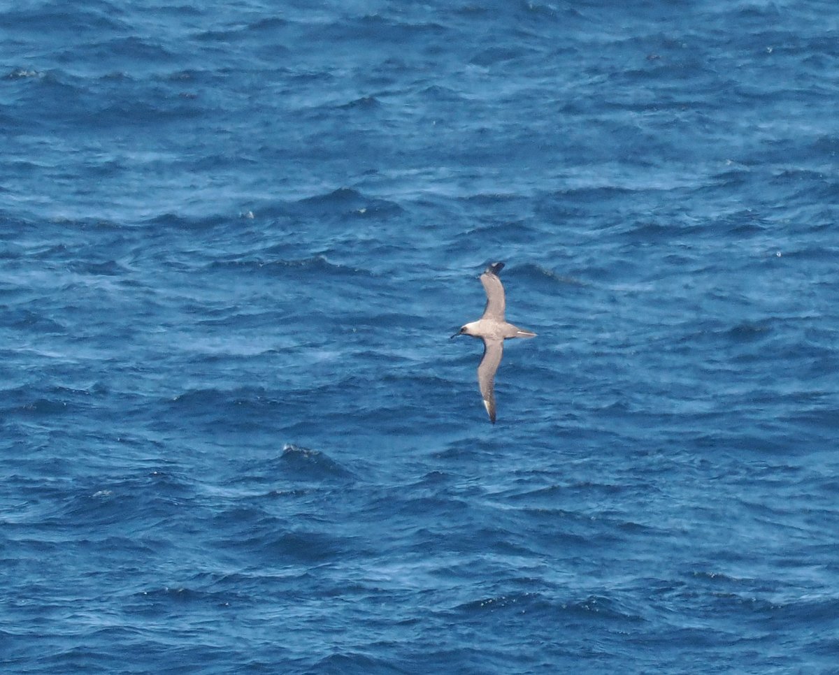 Andrew Whitehouse tweet media