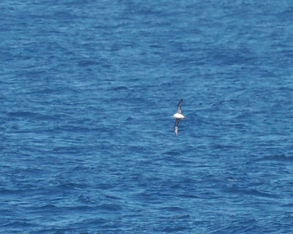 Andrew Whitehouse tweet media