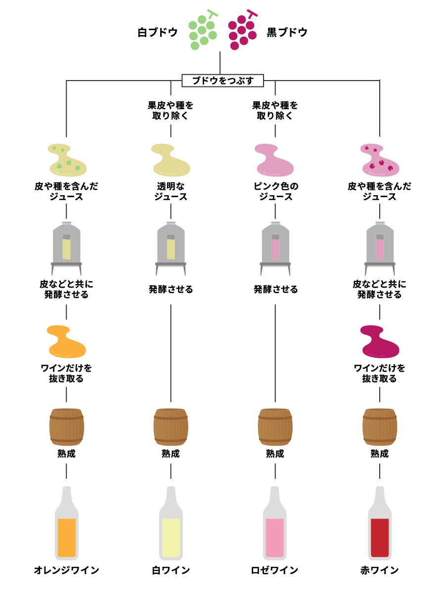 ワインの色が異なるのは造り方が違うからです🍷
使うブドウや醸造方法の違いによって、このように多様なワインが生まれます！

（※こちらは工程を簡略化して表現した図です）