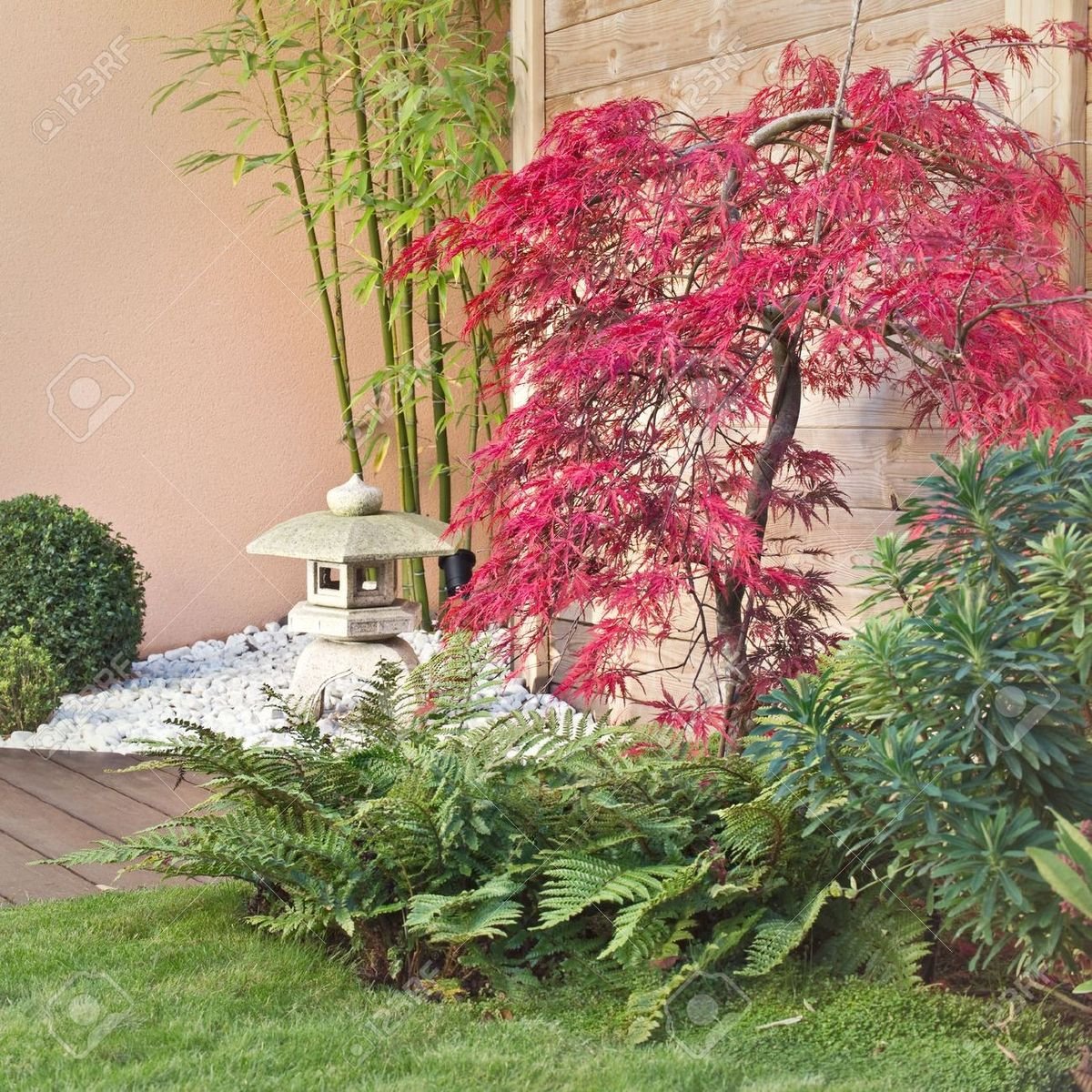 Nieuczesana 🌸 tweet media