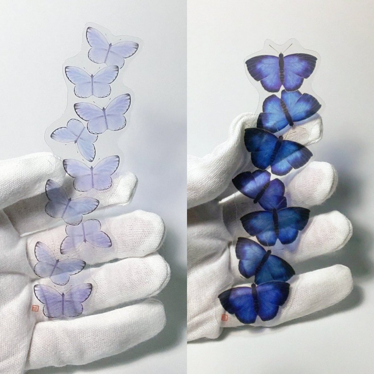 通販にはすでに並んでいます。