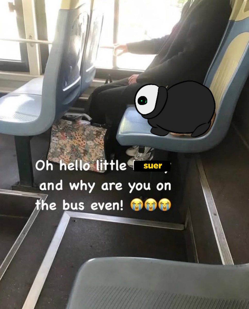 DAILY PURSUER tweet media