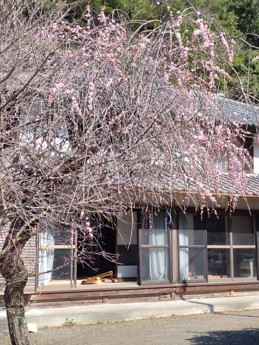 今日はお弟子さん稽古でした。

昨日のヒヨドリは飛び去りました😊