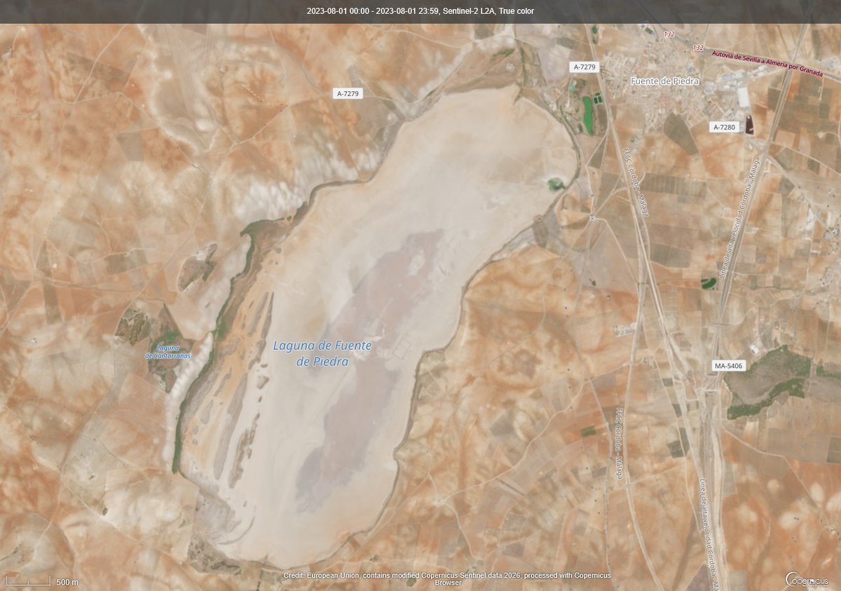 GalvezRivas's tweet image. Una ligera idea...
Reserva Natural de la Laguna de #FuentedePiedra 2023 vs 2026