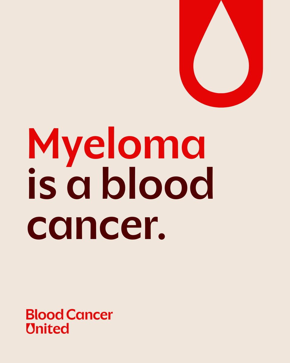 Blood Cancer United tweet media