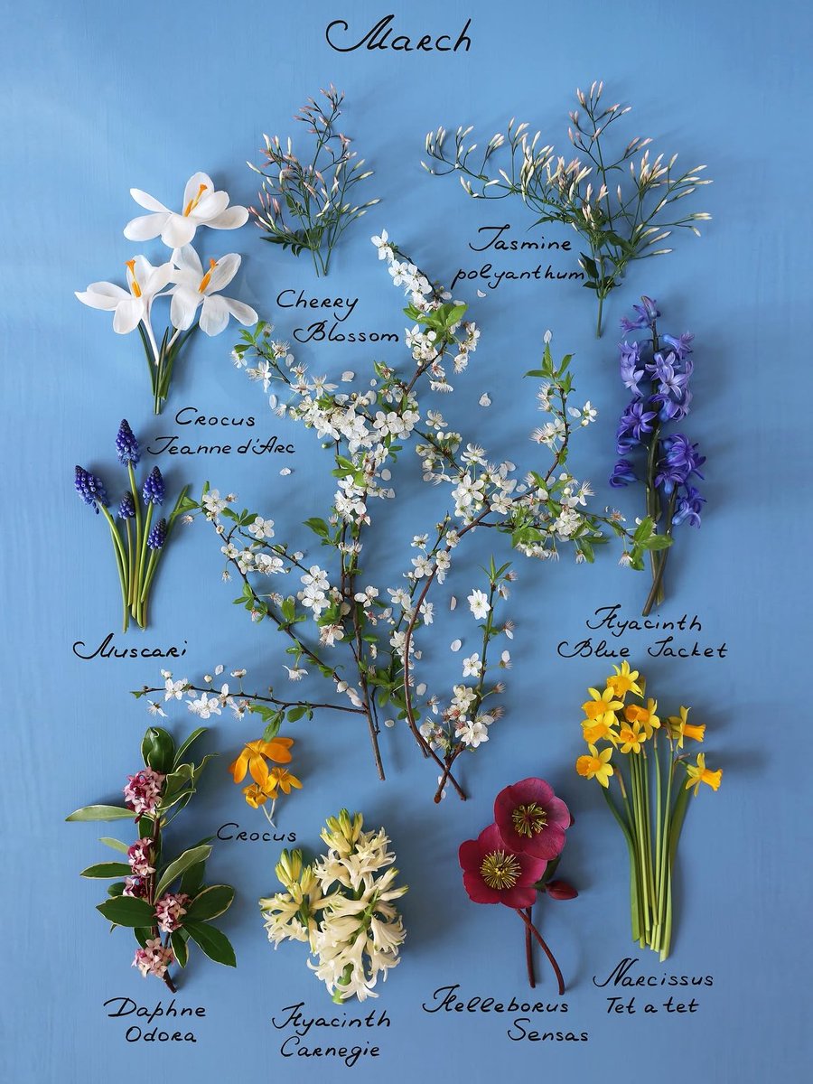 Get ready to welcome March 🍃