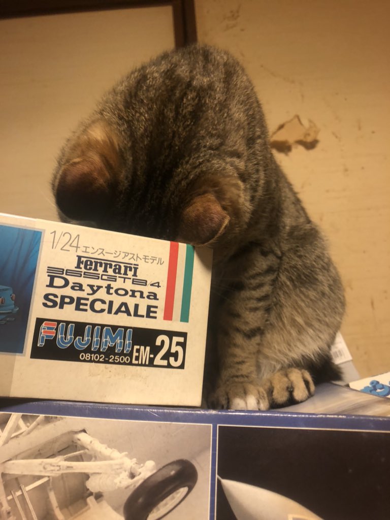 しいなとりで (@jetto) / Posts / X