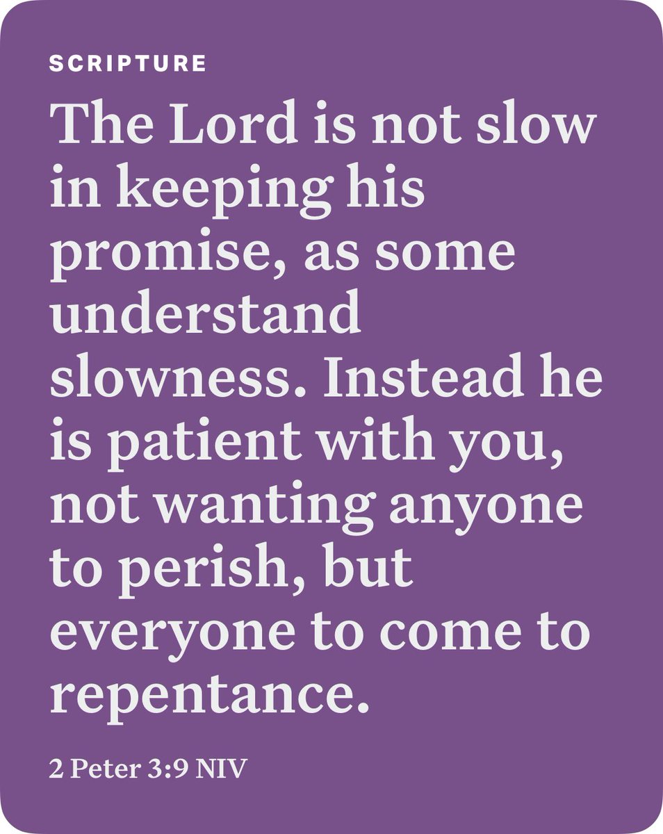 Craig Connor tweet media