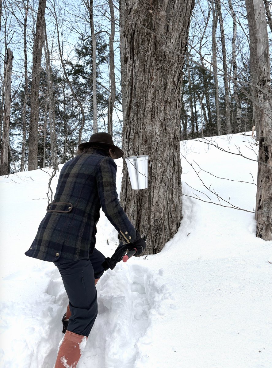 Digital Archaeology tweet media