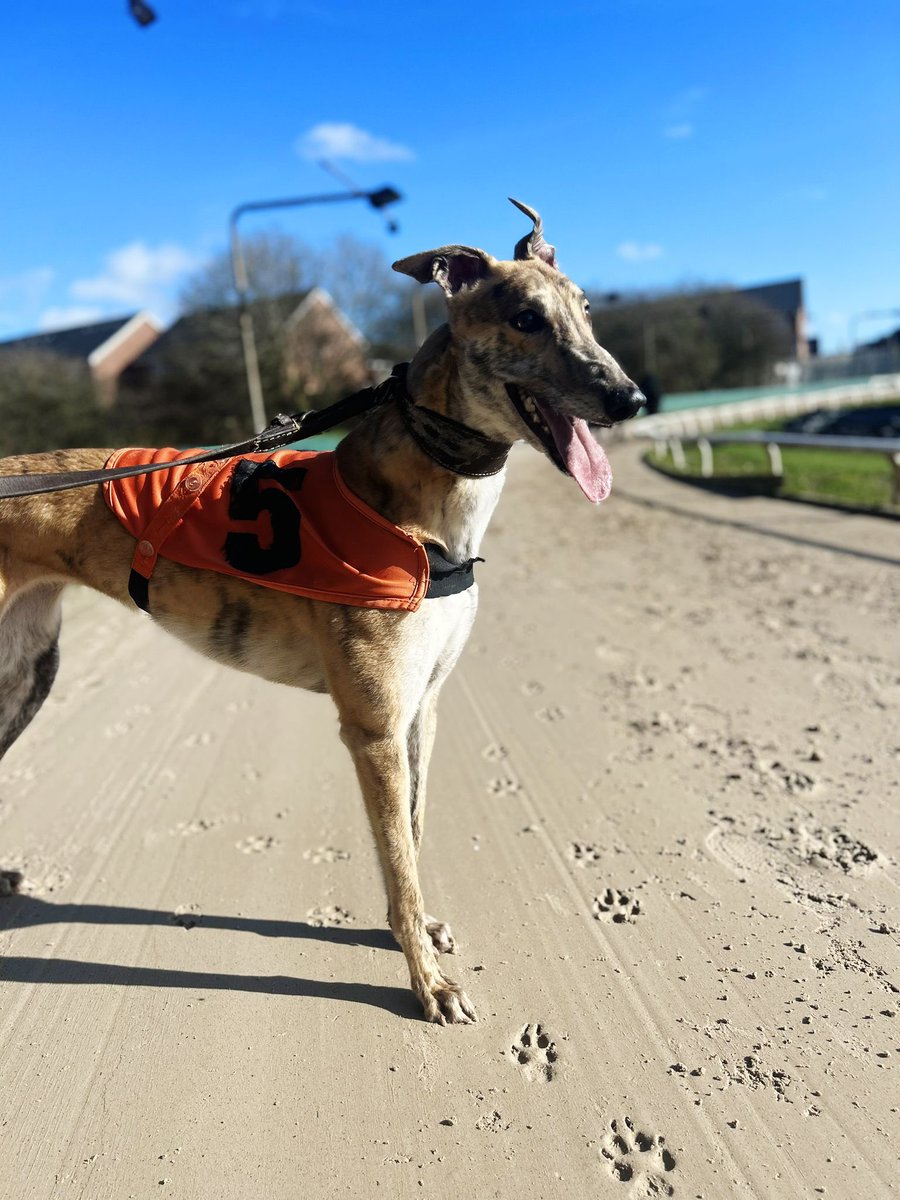 Karl Parsonage tweet media