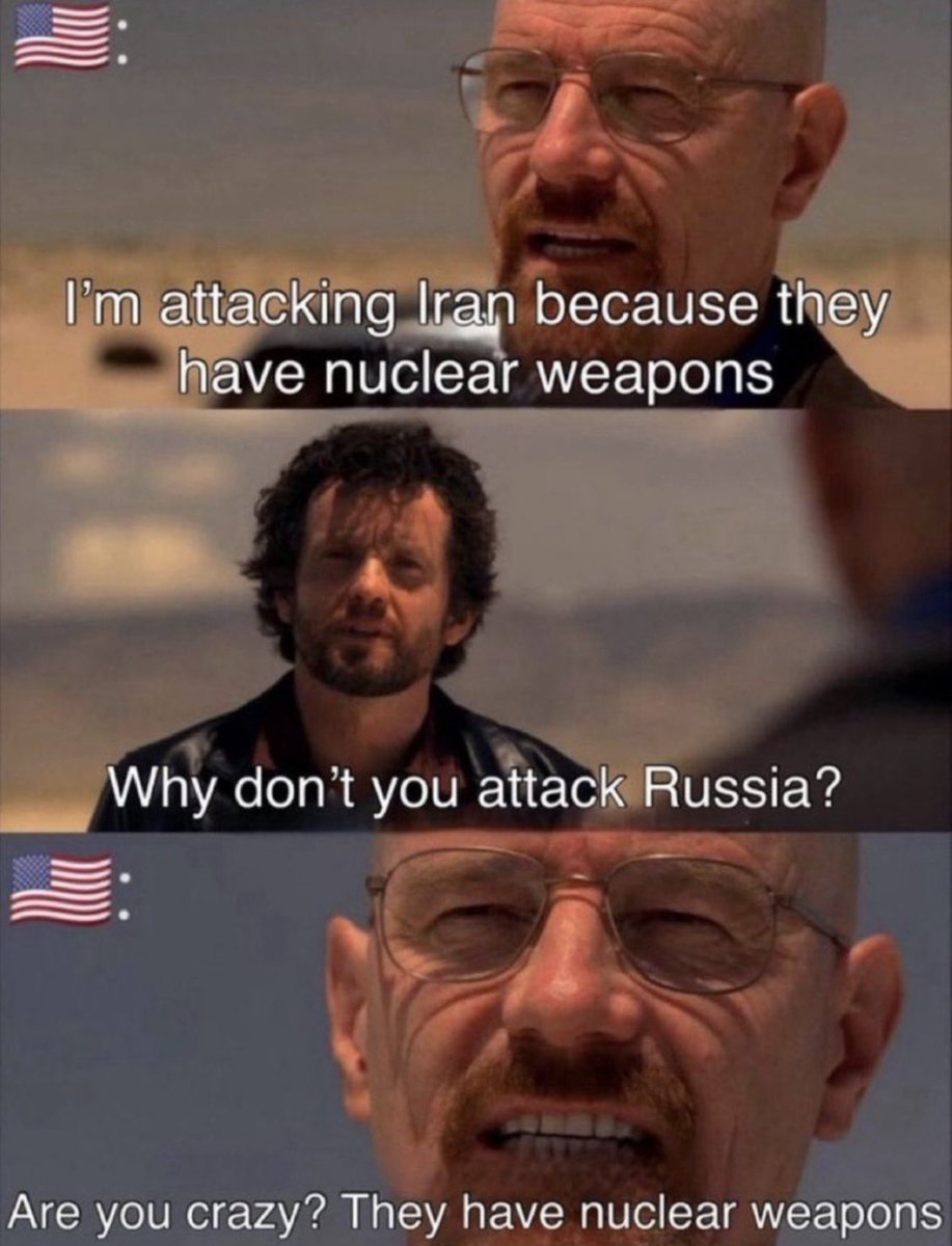 Out of Context Human Race tweet media