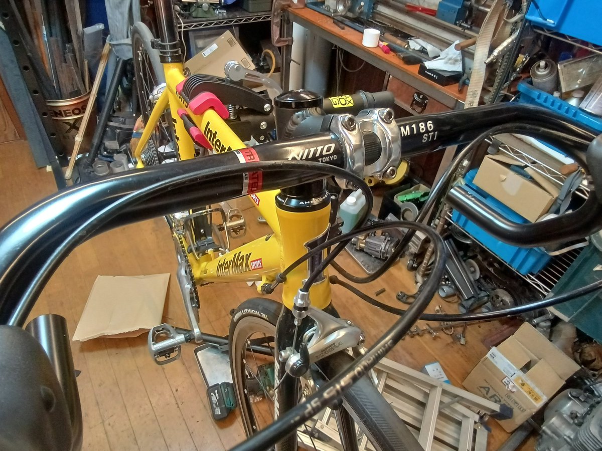 ニシム・ラディン tweet media