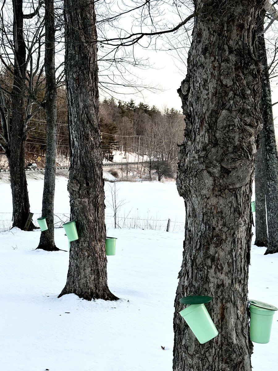 Digital Archaeology tweet media