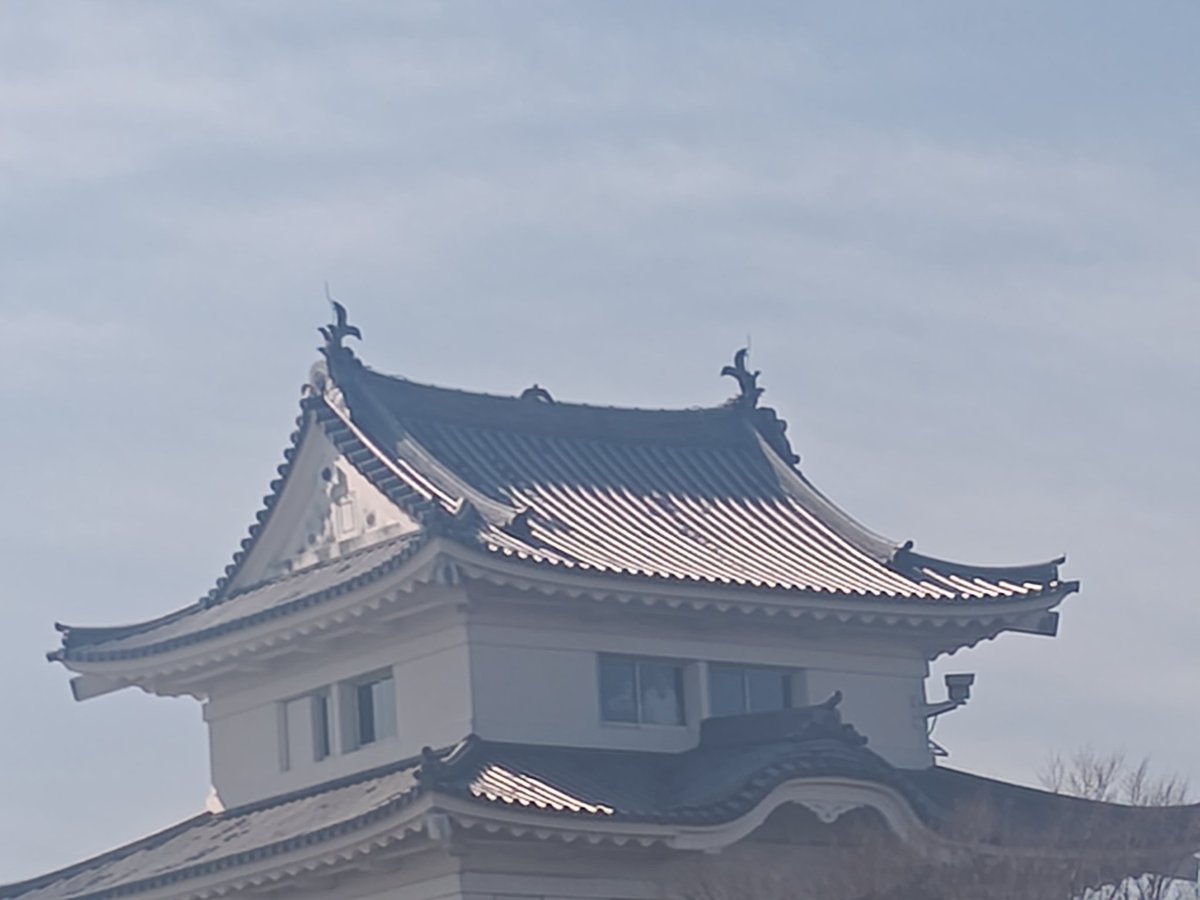 ざらつくだにー tweet media